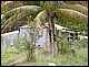 guadeloupe312.jpg