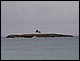 guadeloupe316.jpg