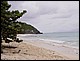 guadeloupe318.jpg