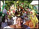 guadeloupe379.jpg