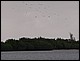 guadeloupe439.jpg