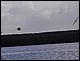 guadeloupe444.jpg