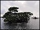 guadeloupe456.jpg