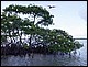 guadeloupe459.jpg