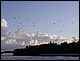 guadeloupe480.jpg