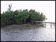 guadeloupe485.jpg