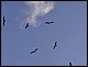 guadeloupe490.jpg