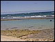 guadeloupe781.jpg