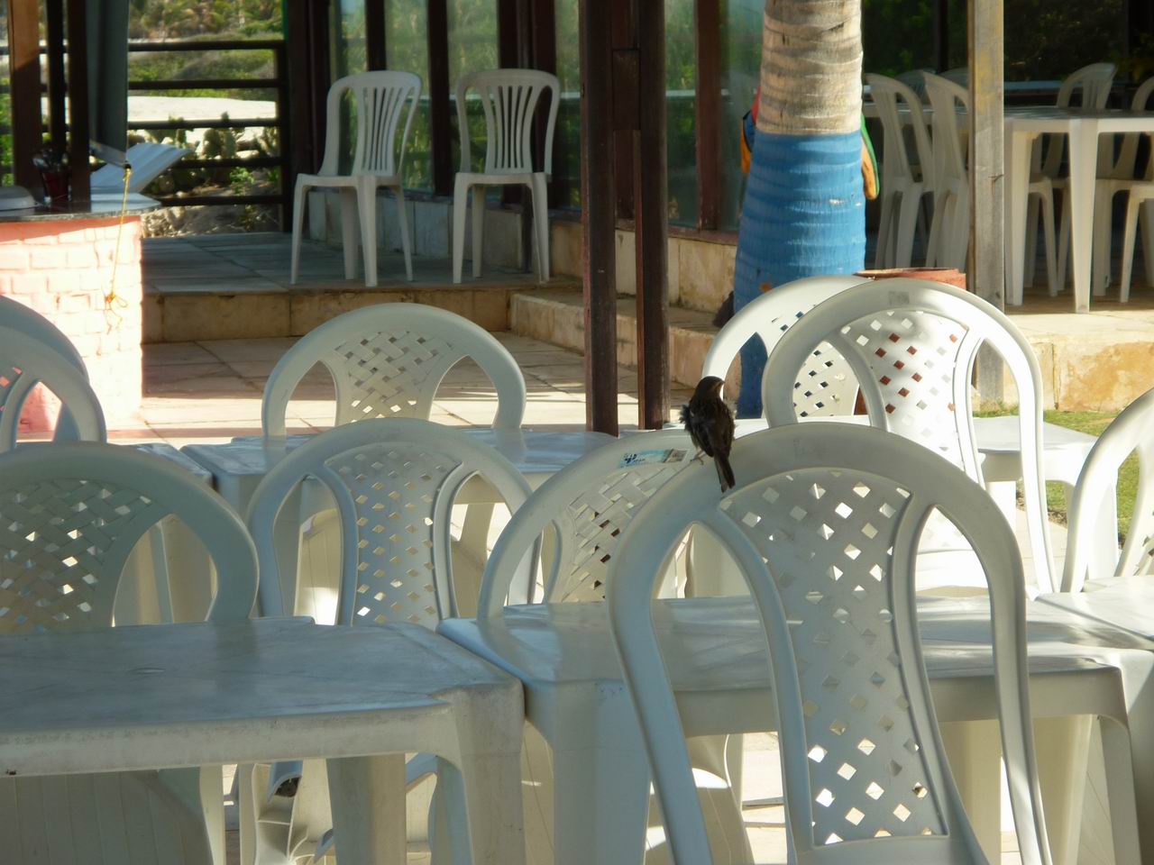 trip_fortaleza_jericoacoara0135.jpg
