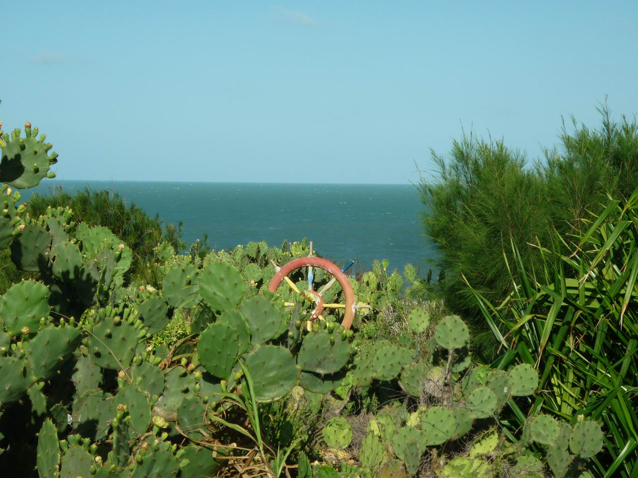 trip_fortaleza_jericoacoara0138.jpg