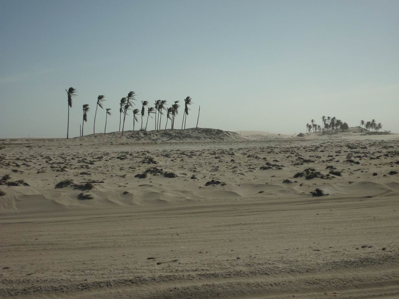 trip_fortaleza_jericoacoara0220.jpg