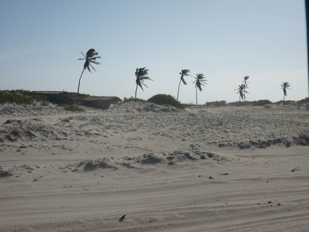 trip_fortaleza_jericoacoara0225.jpg