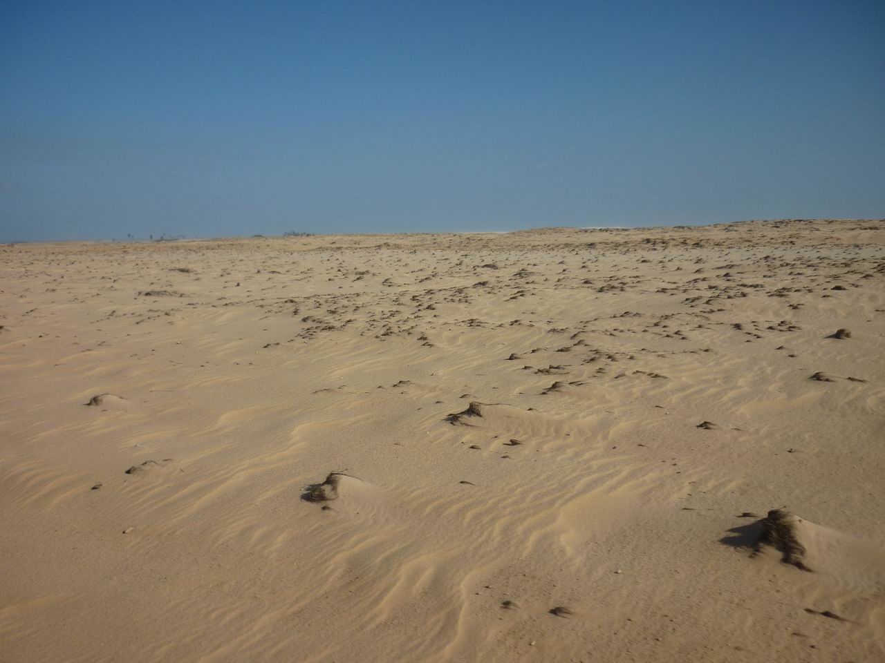 trip_fortaleza_jericoacoara0226.jpg