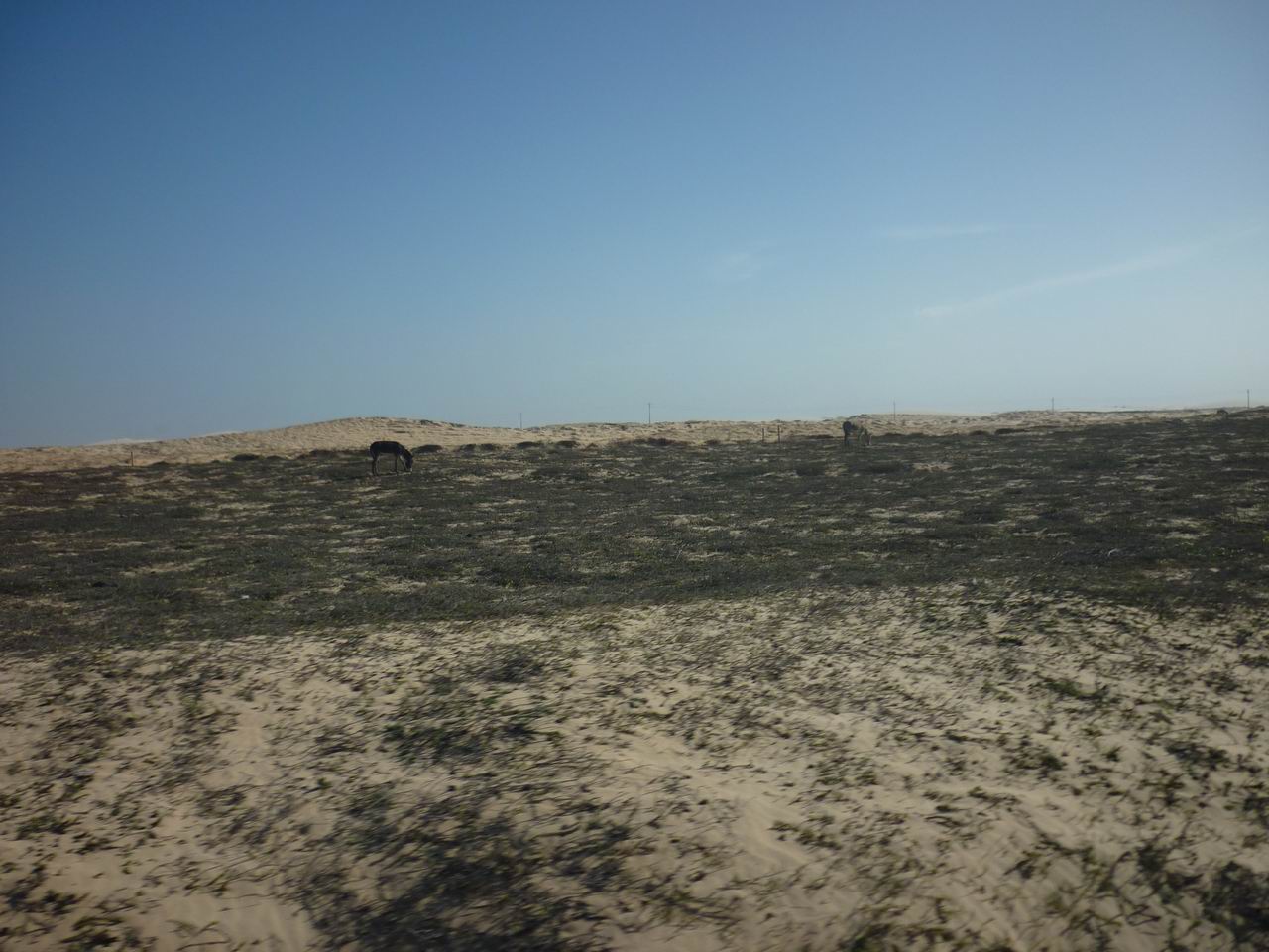 trip_fortaleza_jericoacoara0227.jpg
