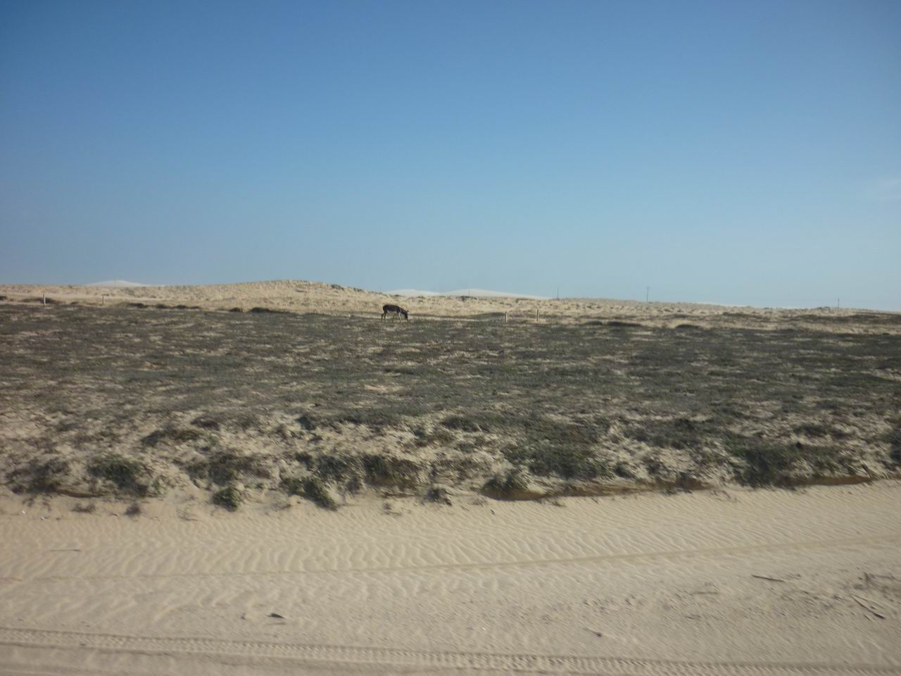 trip_fortaleza_jericoacoara0228.jpg