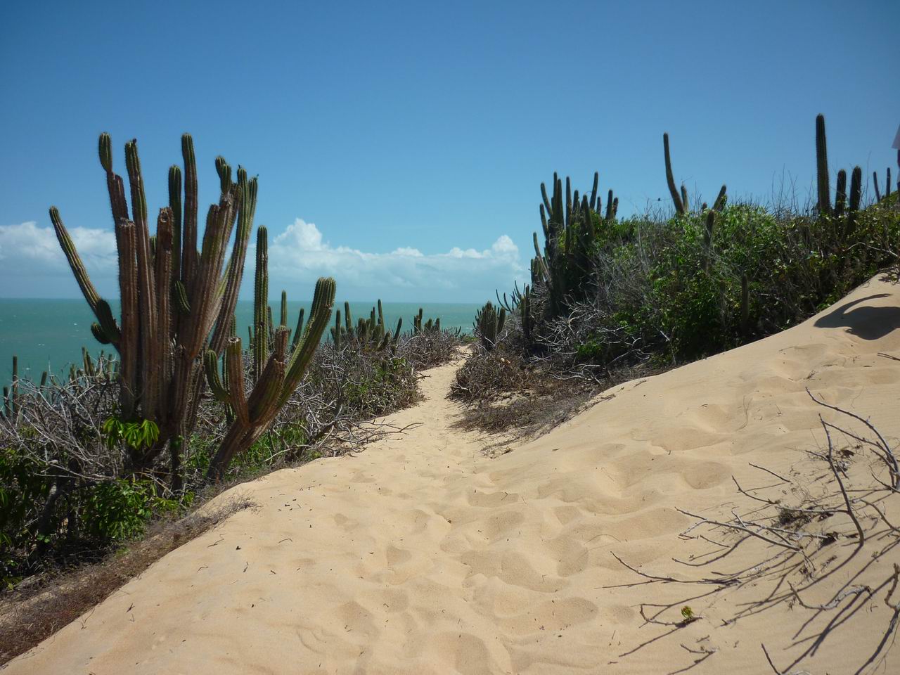 trip_fortaleza_jericoacoara0336.jpg