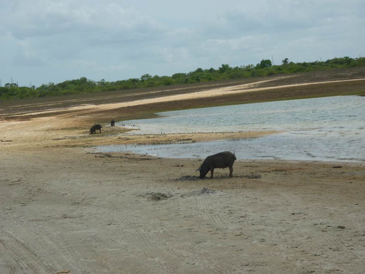 trip_fortaleza_jericoacoara0376.jpg