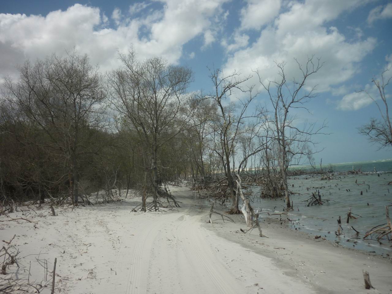 trip_fortaleza_jericoacoara0514.jpg