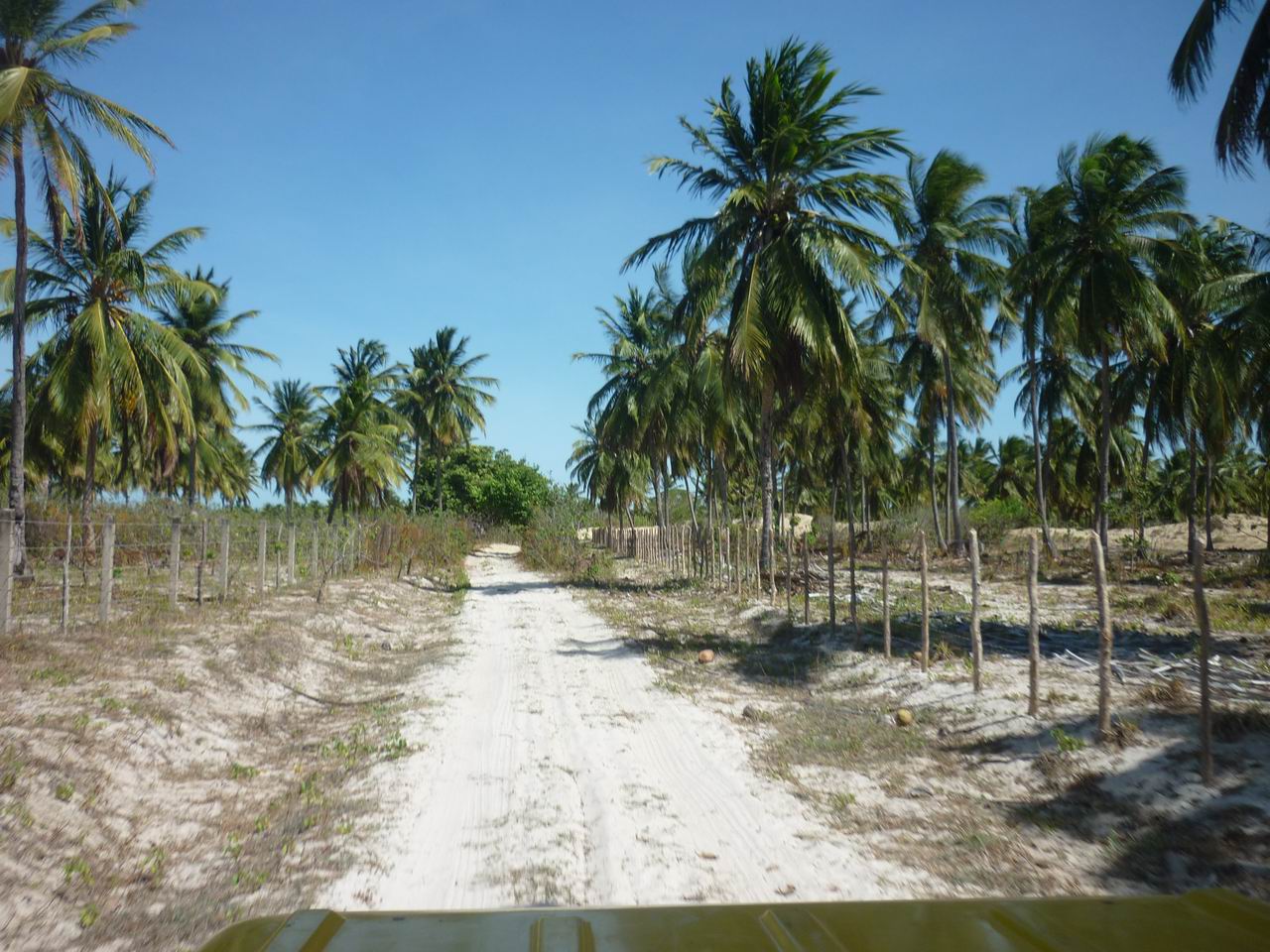 trip_fortaleza_jericoacoara0795.jpg