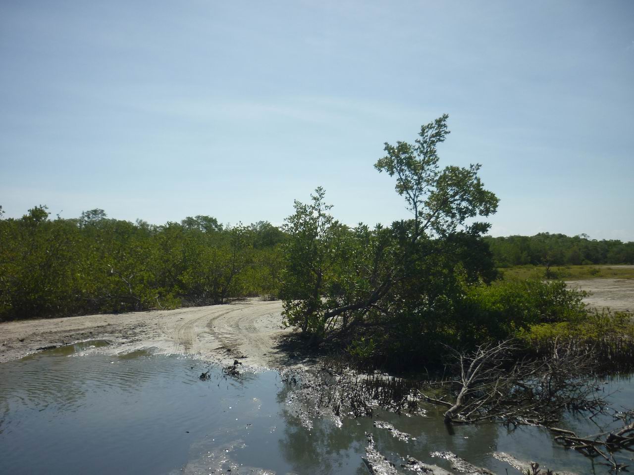trip_fortaleza_jericoacoara0814.jpg