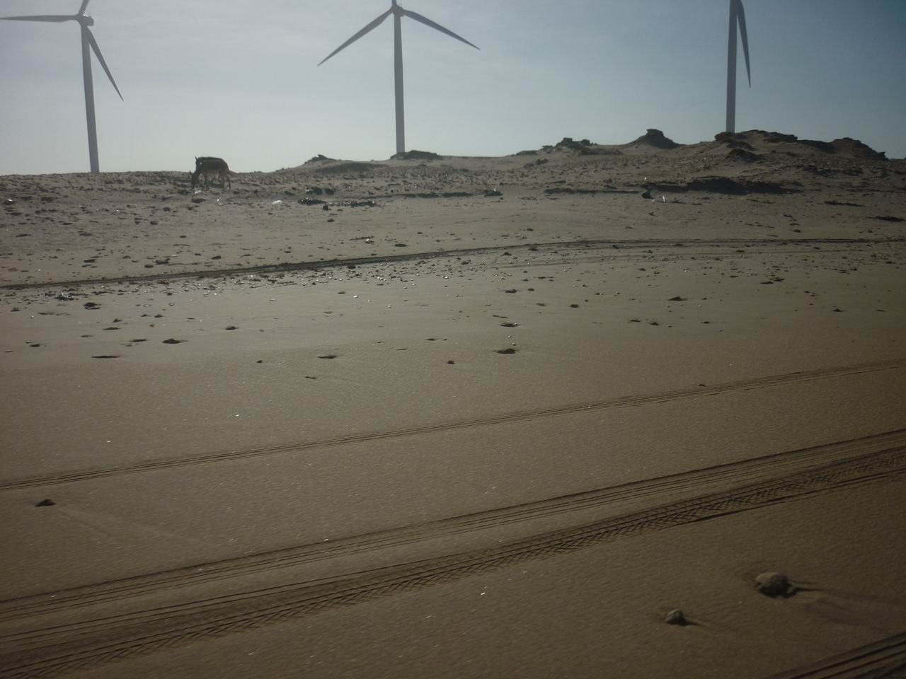 trip_fortaleza_jericoacoara0839.jpg