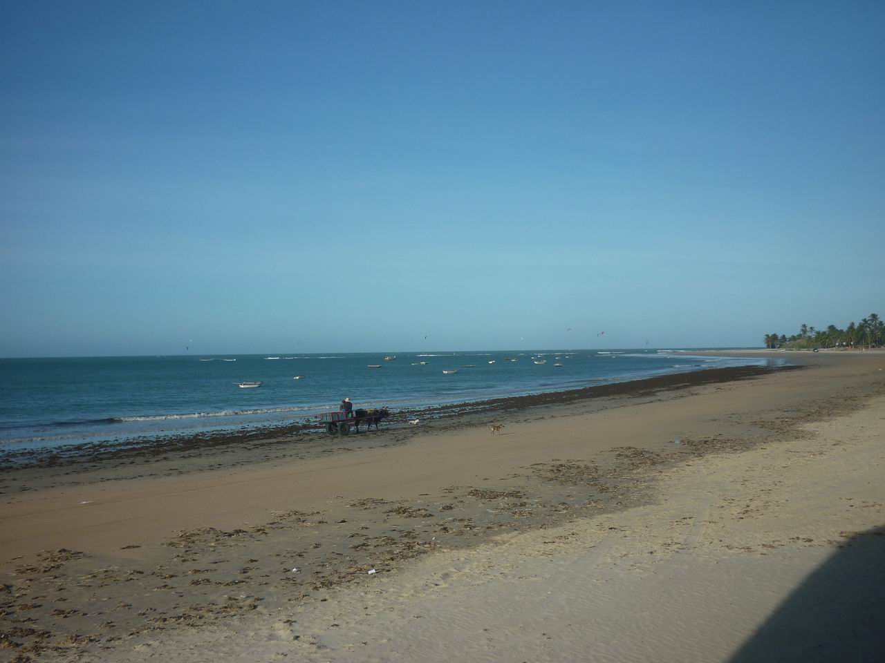 trip_fortaleza_jericoacoara0845.jpg