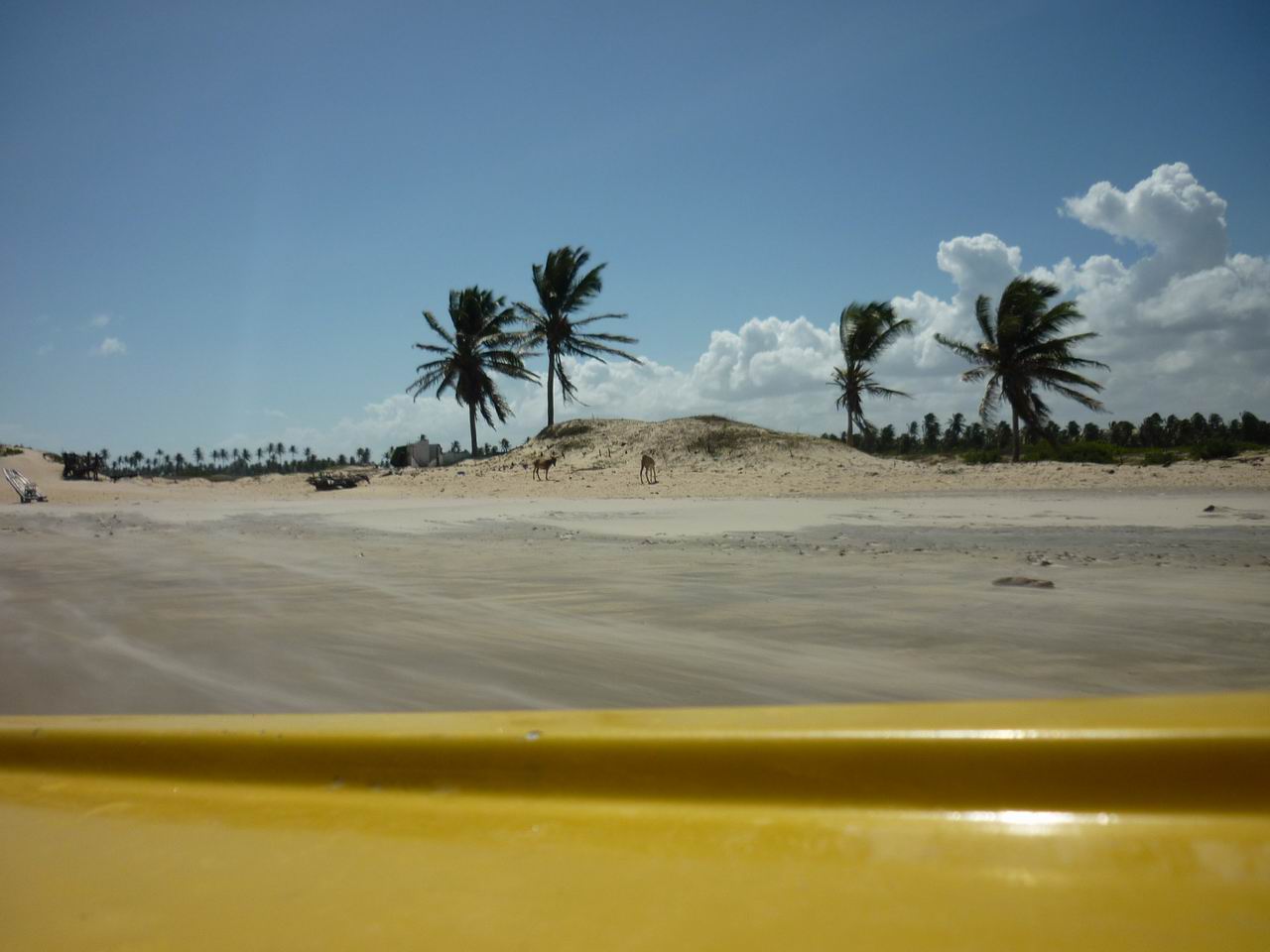 trip_fortaleza_jericoacoara0943.jpg