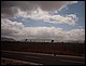 trip_fortaleza_jericoacoara0201.jpg