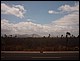 trip_fortaleza_jericoacoara0202.jpg