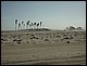 trip_fortaleza_jericoacoara0220.jpg