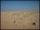 trip_fortaleza_jericoacoara0226.jpg