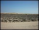 trip_fortaleza_jericoacoara0228.jpg