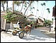 trip_fortaleza_jericoacoara0247.jpg