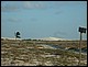 trip_fortaleza_jericoacoara0252.jpg