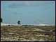 trip_fortaleza_jericoacoara0253.jpg
