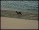 trip_fortaleza_jericoacoara0275.jpg