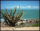 trip_fortaleza_jericoacoara0333.jpg