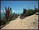 trip_fortaleza_jericoacoara0336.jpg