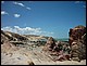 trip_fortaleza_jericoacoara0342.jpg