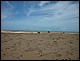 trip_fortaleza_jericoacoara0360.jpg