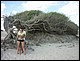 trip_fortaleza_jericoacoara0364.jpg