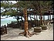 trip_fortaleza_jericoacoara0368.jpg
