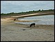 trip_fortaleza_jericoacoara0376.jpg