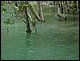 trip_fortaleza_jericoacoara0473.jpg