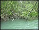 trip_fortaleza_jericoacoara0475.jpg