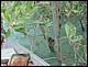 trip_fortaleza_jericoacoara0477.jpg