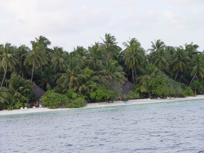 maldives118.jpg