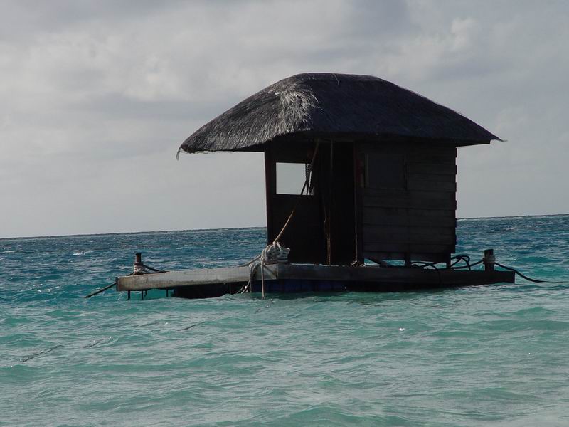 maldives204.jpg