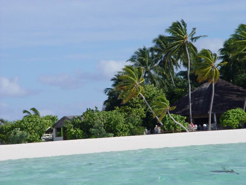 maldives212.jpg