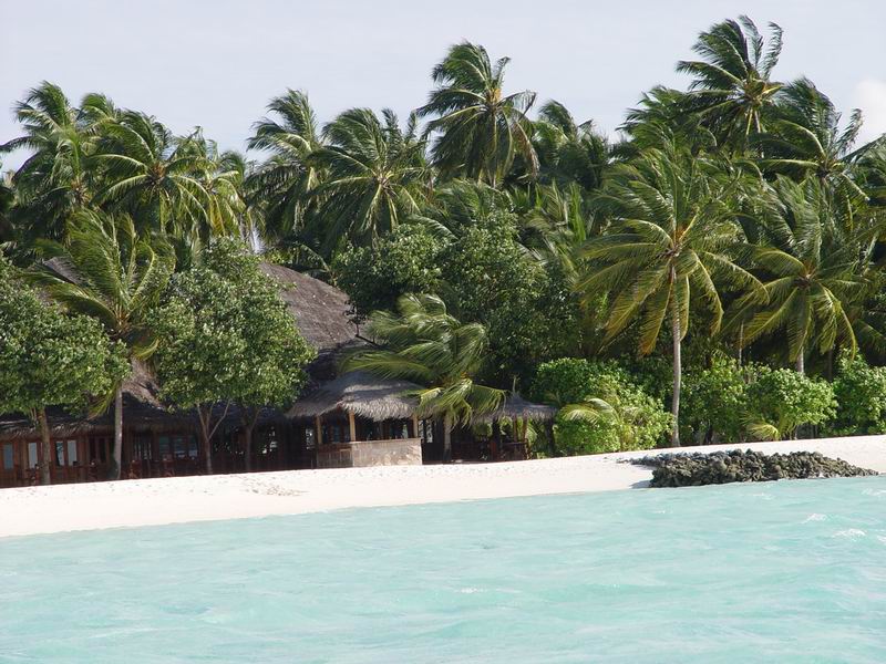 maldives215.jpg